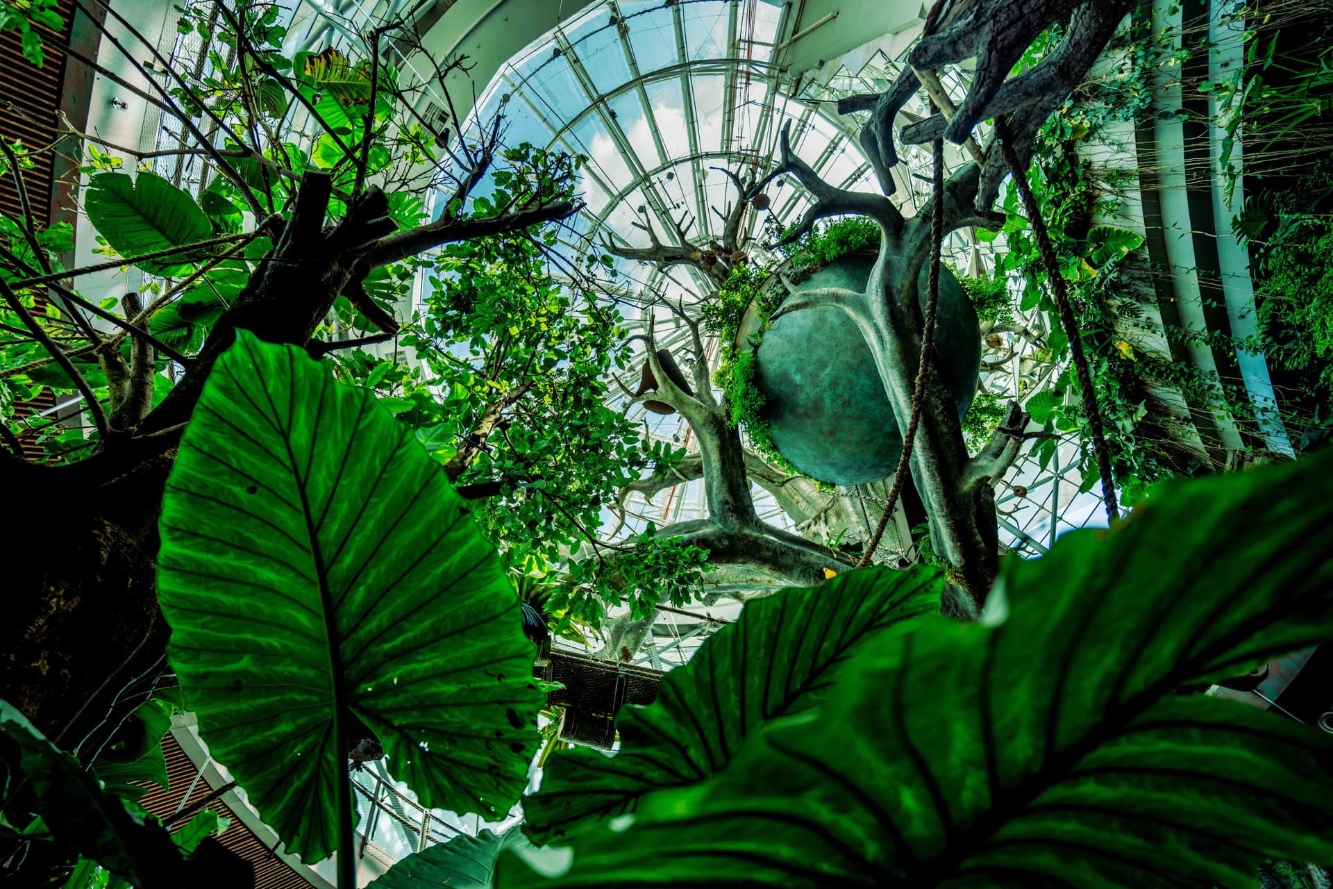 Amazing Dubai Pass - image 33